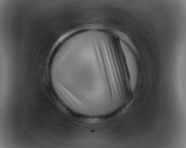 X0000083051176200703022104