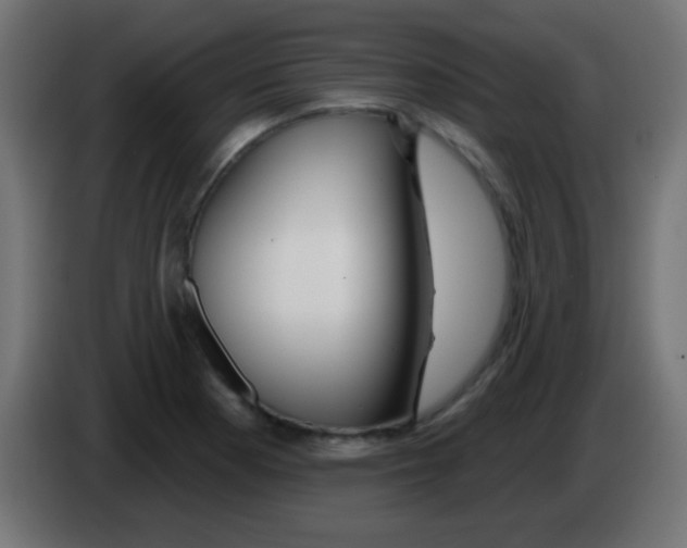 X0000083051177200703022104