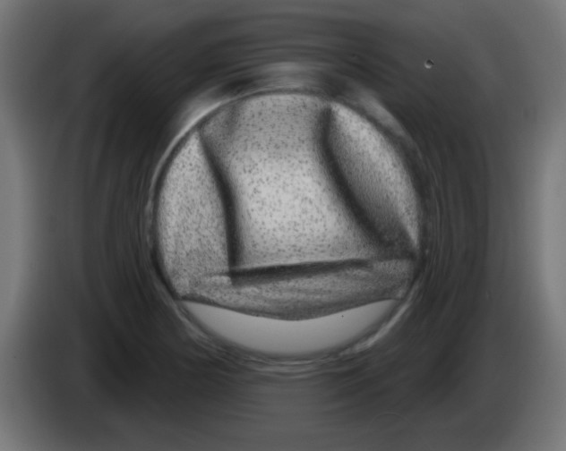 X0000083051178200703022104