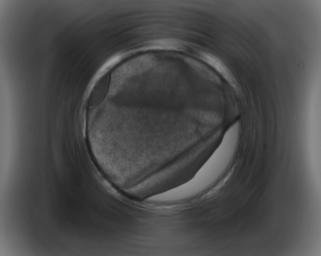 X0000083051180200703022104