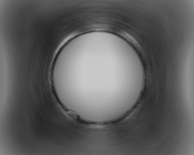 X0000083051182200703022104