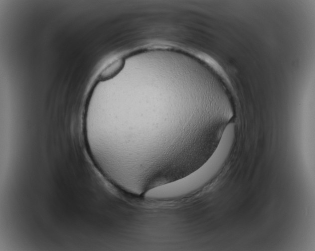 X0000083051183200703022104