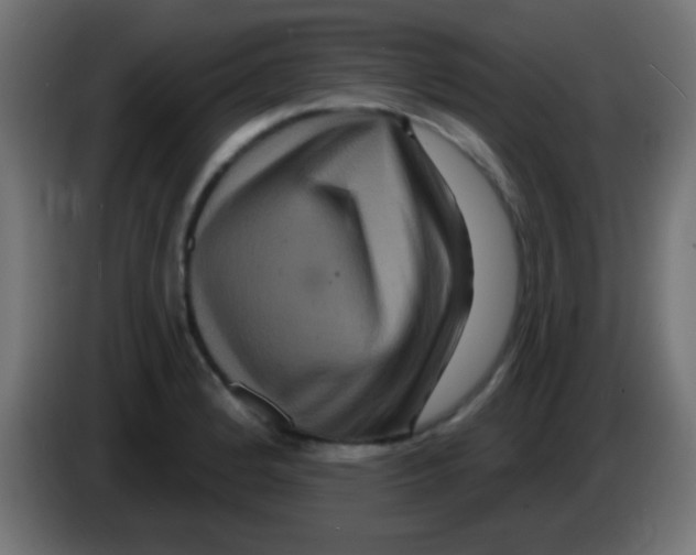 X0000083051184200703022104