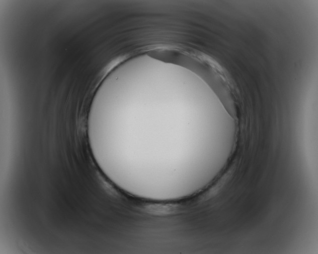 X0000083051185200703022104