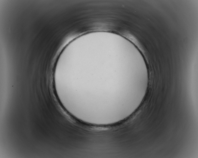 X0000083051187200703022104