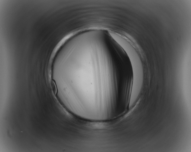 X0000083051188200703022104