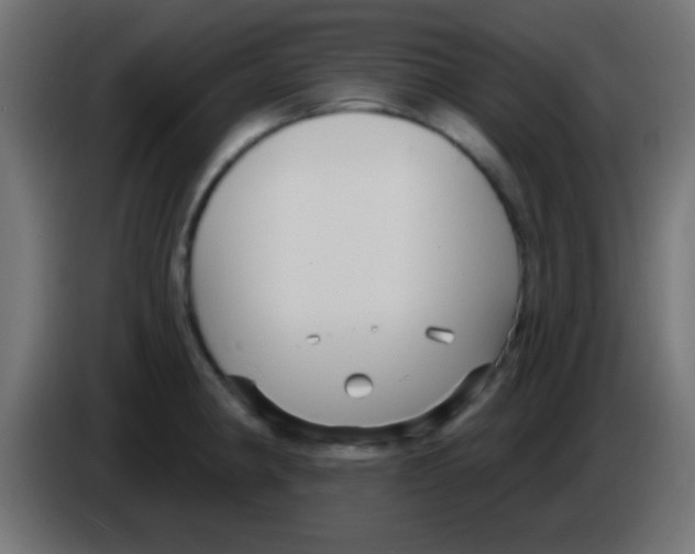 X0000083051190200703022104