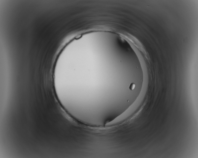 X0000083051192200703022104