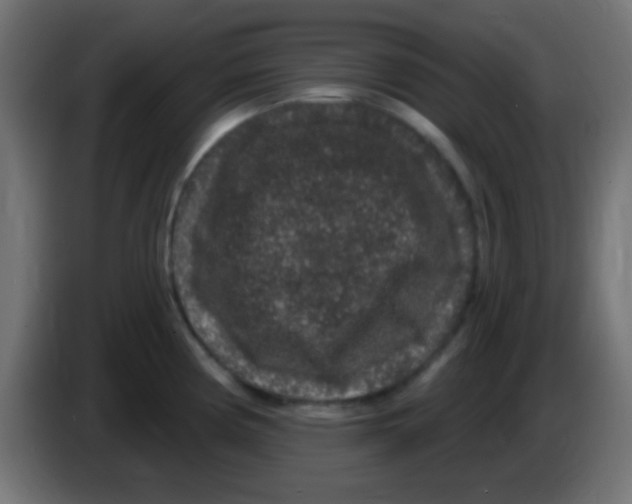 X0000083051194200703022104