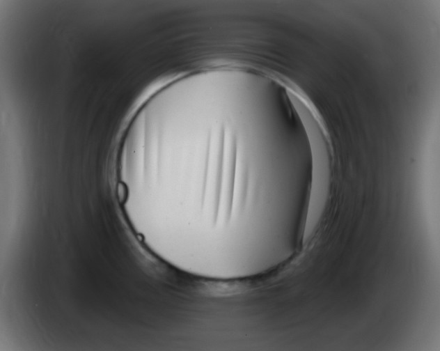 X0000083051195200703022104