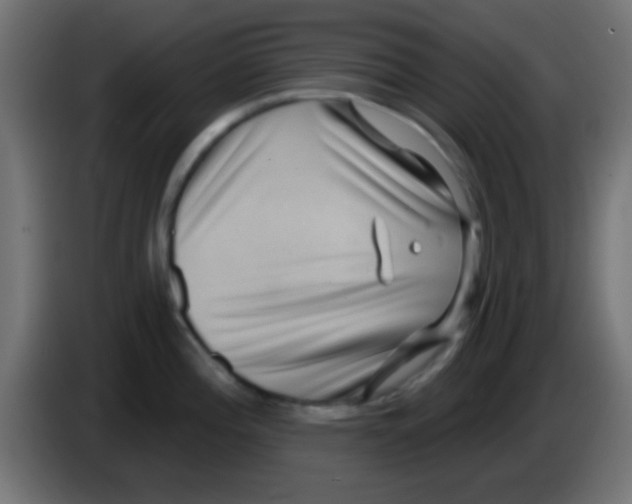 X0000083051196200703022104