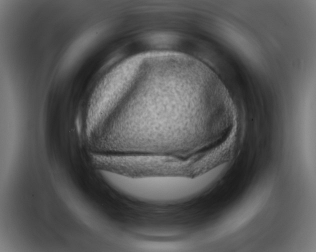 X0000083051198200703022104