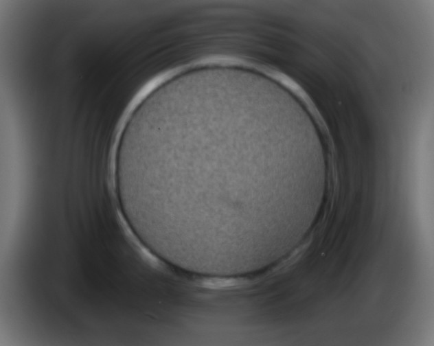 X0000083051199200703022104