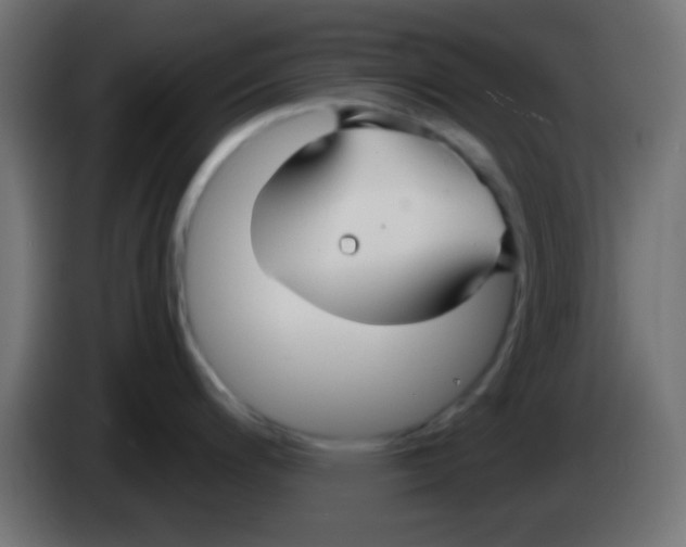 X0000083051200200703022104