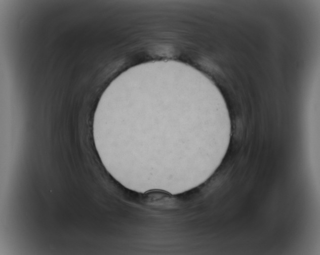 X0000083051201200703022103