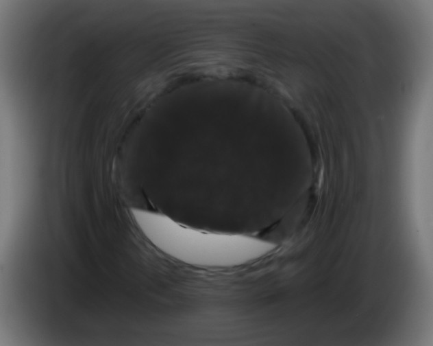 X0000083051202200703022103