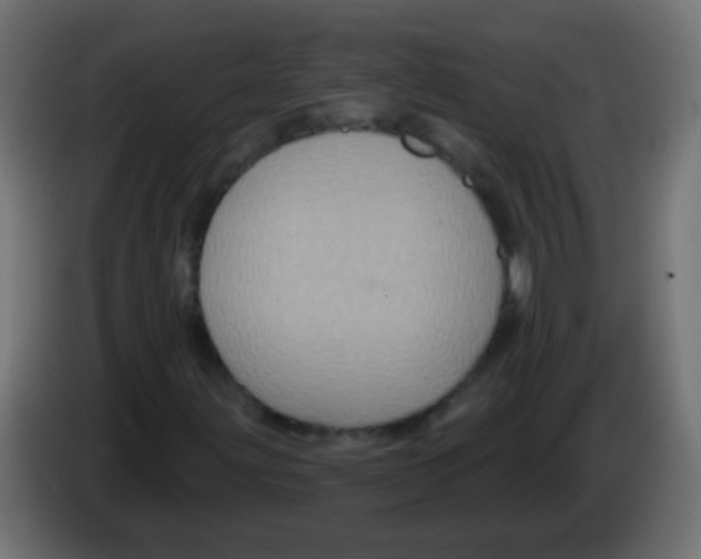 X0000083051203200703022103