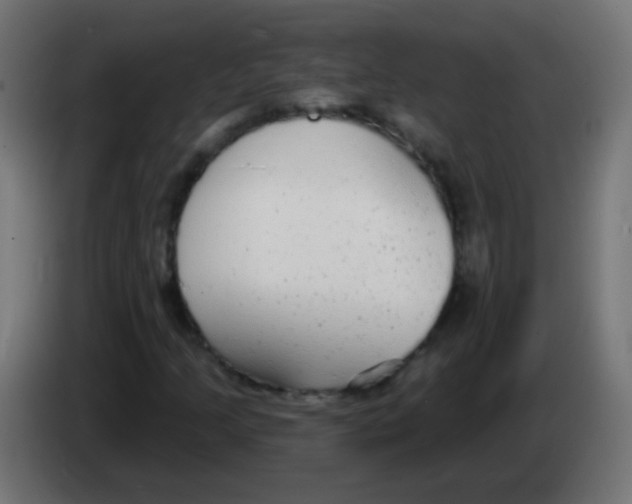 X0000083051205200703022103