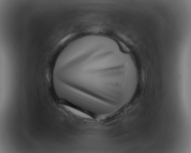 X0000083051206200703022103