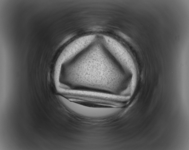 X0000083051209200703022103