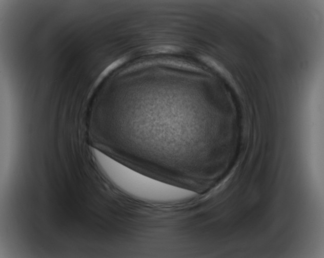 X0000083051210200703022103