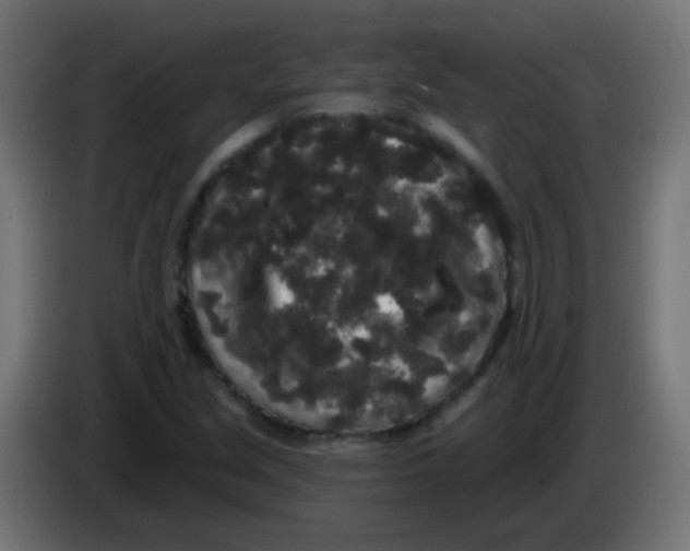 X0000083051213200703022103