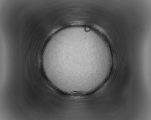 X0000083051217200703022103