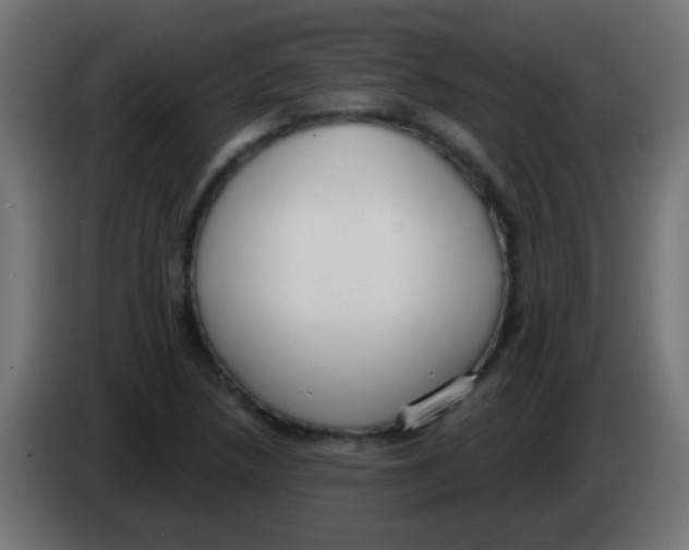 X0000083051218200703022103