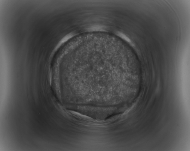 X0000083051219200703022103