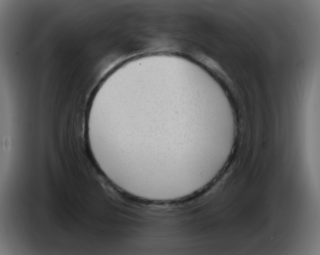 X0000083051220200703022103