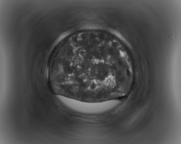 X0000083051221200703022103