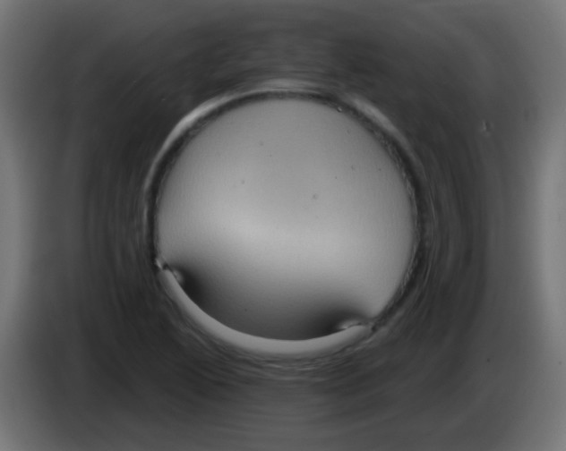 X0000083051222200703022103