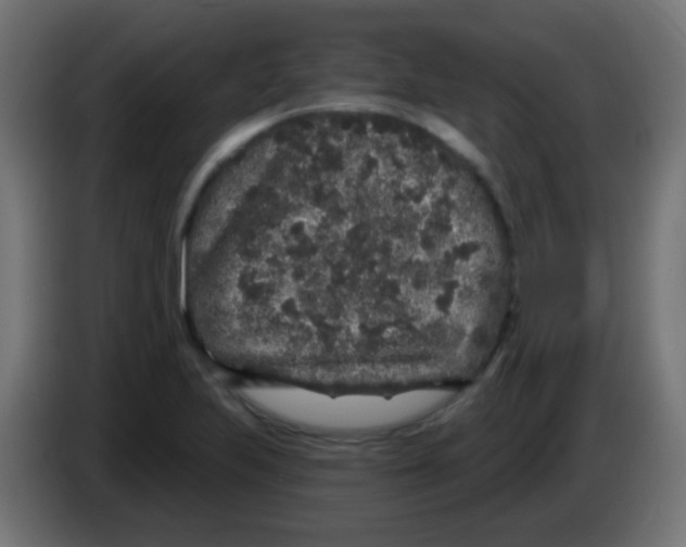 X0000083051223200703022103