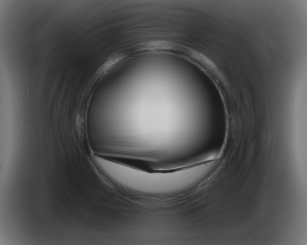 X0000083051225200703022103