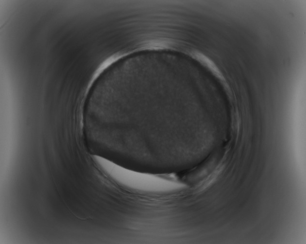 X0000083051226200703022103