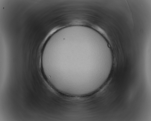 X0000083051227200703022103