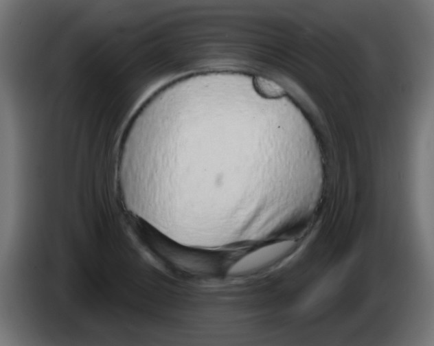 X0000083051228200703022103