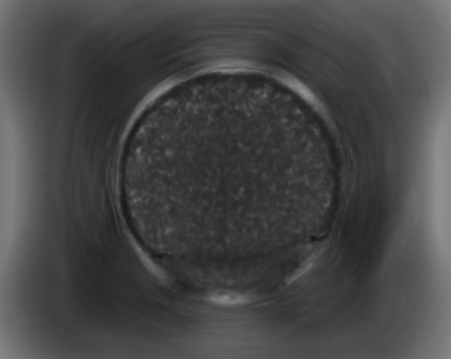 X0000083051229200703022103