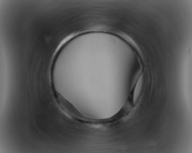 X0000083051230200703022103