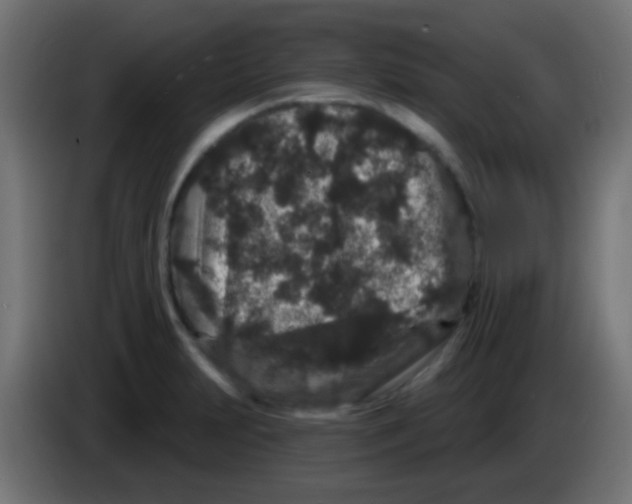 X0000083051231200703022103