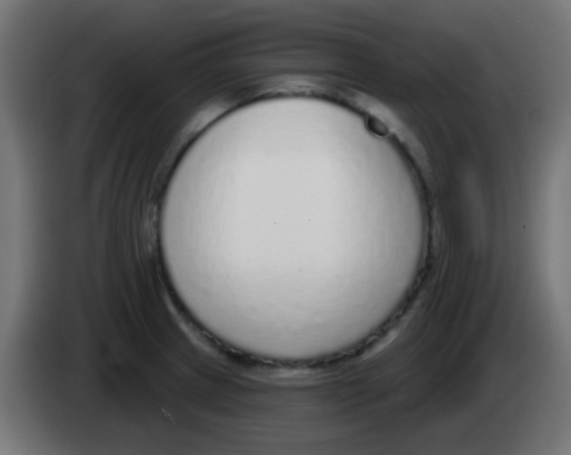 X0000083051233200703022103