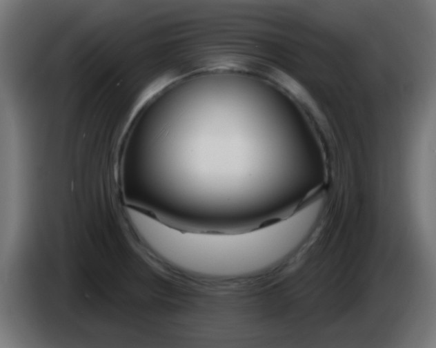 X0000083051234200703022103