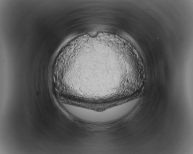 X0000083051235200703022103