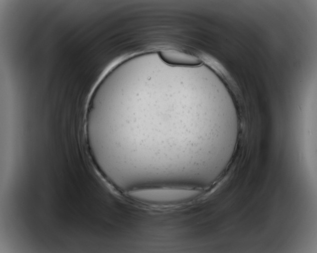 X0000083051236200703022103