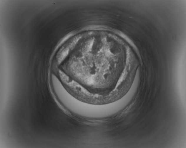 X0000083051237200703022103