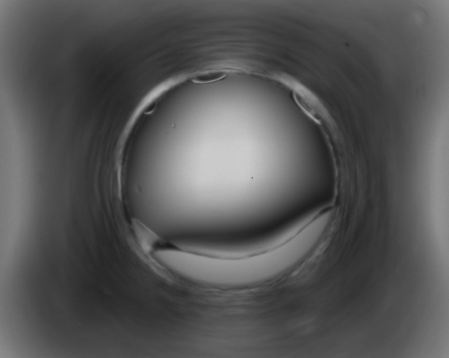 X0000083051238200703022103