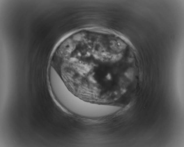 X0000083051239200703022103