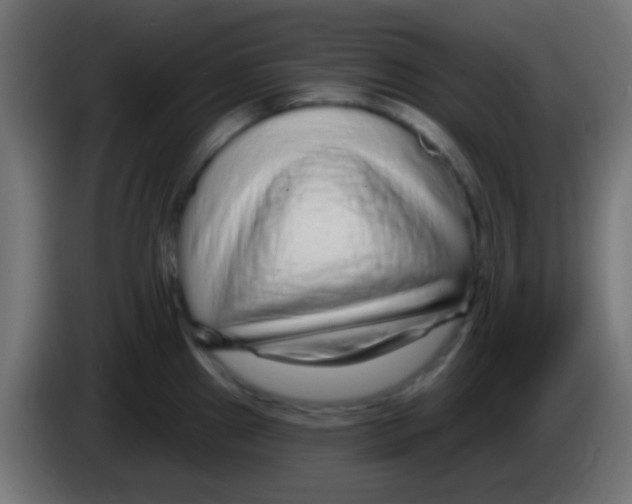 X0000083051241200703022103