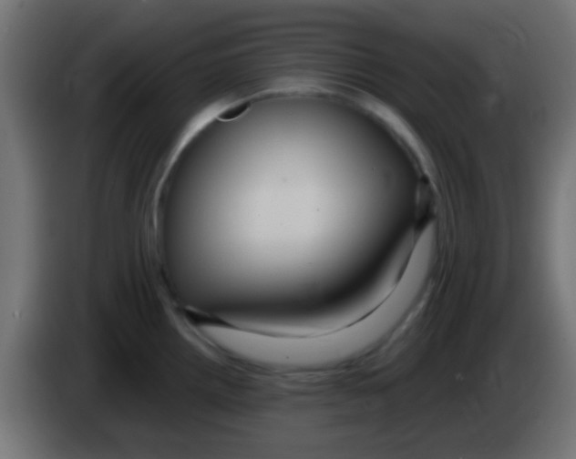 X0000083051242200703022103