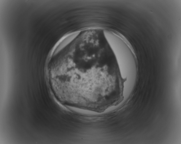 X0000083051243200703022103